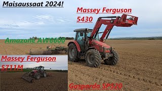 Maisaussaat 2024 Massey Ferguson 7511M  MF 5430 [upl. by Nalorac687]