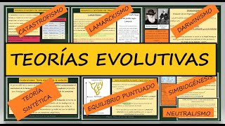 Teorías de la Evolución Lamarckismo Darwinismo Neodarwinismo Equilibrio Puntuado Simbiogénesis [upl. by Enyaht]