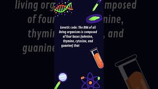 GeneticCode DNA adenine thymine cytosine and guanine shorts [upl. by Faucher]