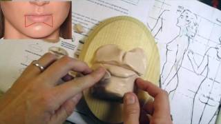 DIY How to Sculp a Mouth Anatomy and Sculpting Tips [upl. by Manara]