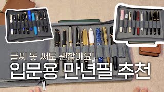 입문용 만년필 추천🖋 글씨 못 써도 괜찮아요  파이롯트 캡리스 몽블랑 펠리칸 펠리카노 오로라 레오나르도 델타 카쿠노 베일리 라이트 트위스비 영생 698 [upl. by Akcemat]