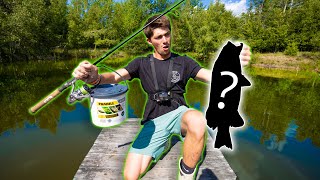 We FINALLY CAUGHT The Mystery Fish in my BACKYARD Pond Pond Restoration Part 4 [upl. by Nowd]