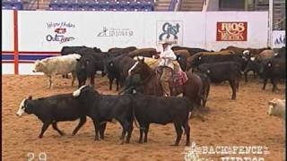 Fantastic Cat  NCHA World Finals  Score 227 [upl. by Torosian432]