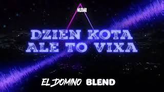 Włodar  Dzień Kota Ale to Vixa El Domino Blend [upl. by Ecinnej5]