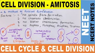 Amitosis Cell Division in Hindi  Direct Cell Division  Cell Cycle amp Cell Division  NEET 2020 [upl. by Hollis]