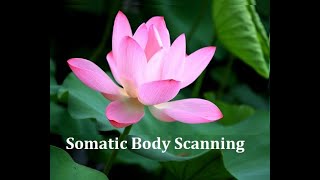 Meditation for Dissociation Grounding amp Perceive Subtle Body Sensations [upl. by Newra350]