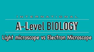 A Level Biology Microscopy part 2 Light microscope vs electron microscope [upl. by Ffilc]