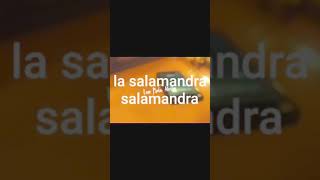 LA SALAMANDRA—trueno—letra [upl. by Acsisnarf196]