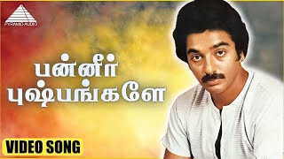 பன்னீர் புஷ்பங்களே HD Video Song  அவள் அப்படித்தான்  கமல்ஹாசன்  ஸ்ரீப்ரியா  இளையராஜா [upl. by Liatnahs642]