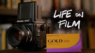 is Kodak Gold 200 that good  life on film [upl. by Aicilic]