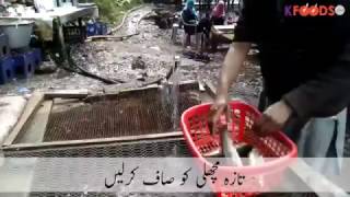 Trout Fish Recipe  Naran Kaghan Fish [upl. by Wes236]