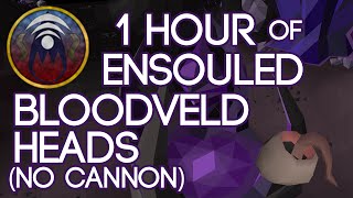 1 Hour of Ensouled Bloodveld Heads no cannon [upl. by Adiazteb]