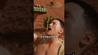 Why You Shouldnt Drink Cactus Water 😱 [upl. by Eceryt]