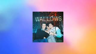 Wallows  Theses Days cover [upl. by Schiffman]