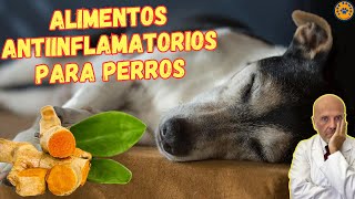 🎁 ALIMENTOS QUE SON ANTIINFLAMATORIOS NATURALES PARA PERROS 🎁 [upl. by Behl421]