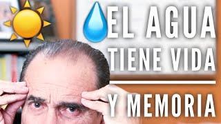 Episodio 1063 El agua tiene vida y memoria [upl. by Vassili]