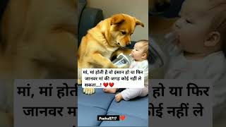 मां मां होती है❤️❤️ WhatsApp Status shorts trending hearttouching whatsappstatus explore yt [upl. by Leffen536]