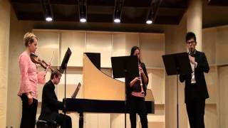 Telemann  Concerto in A minor for recorder oboe violin and basso continuo [upl. by Natek762]