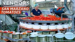 How a Tomato Factory Produces and Cans Over 2 Million Pounds a Year— Vendors [upl. by Oneladgam298]