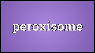 Peroxisome Meaning [upl. by Kaylyn]