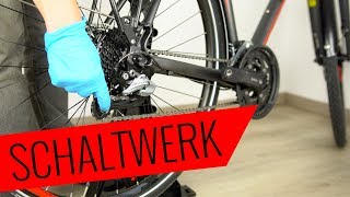 Shimano Schaltwerk wechseln  einfach amp schnell  Fahrradorg [upl. by Aivatnuhs452]