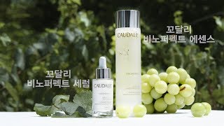 Caudalie 꼬달리 비노퍼펙트 파워듀오 [upl. by Seed]