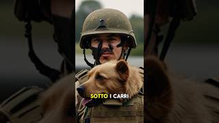 I cani in battaglia  cani guerra battaglia [upl. by Yggep]