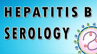 Hepatitis B Serology [upl. by Tak357]