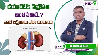 quotWhat is Diabetic Nephropathy and SymptomsquotExpained in Telugu  diabetic diabetics ayurveda [upl. by Airdnahs464]