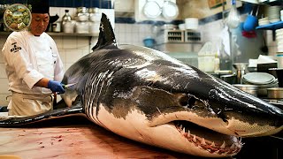 Explore Japanese cuisine How to prepare Shark for Sashimi by a Japanese chef  Emison Newman [upl. by Hanny884]