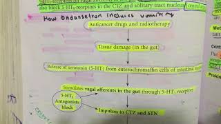 ondansetron in chemotherapy induce vomiting mechanism of action pharmacology [upl. by Tomchay1]