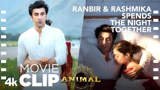 ANIMAL SCENE 6 Ranbir amp Rashmika Spends the Night Together😊Ranbir K RashmikaSandeep VBhushan K [upl. by Janiuszck610]