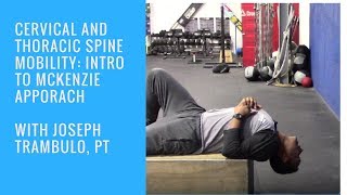 Cervicothoracic Spine Mobility with Joseph Trambulo [upl. by Peder]