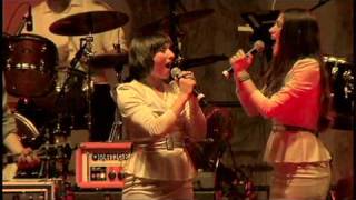 The Decemberists  Crazy on You Heart Cover  Live at Rock the Garden 2009 [upl. by Nihcas]