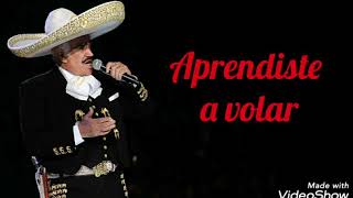 Aprendiste a volar letra Rich  Vicente Fernández [upl. by Atiluj]