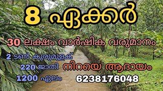 മുരിക്കാശ്ശേരിയിൽ 30 ലക്ഷം വാർഷിക വരുമാനമുള്ള 8 ഏക്കർ സ്ഥലം വിൽപ്പനയ്ക്ക് [upl. by Maighdlin]