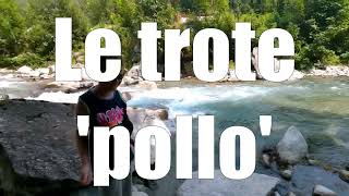 Le trote pollo [upl. by Yarg]