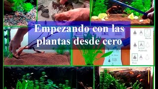 Acuario Empezando con las plantas desde cero [upl. by Burr]