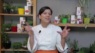 Receitas Criativas Dietkal com a Chef Vivi Araújo [upl. by Ssidnac403]