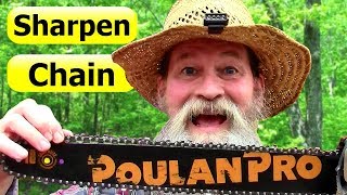 Sharpen a Chainsaw Chain Like a Pro – the Best Way [upl. by Sahc]