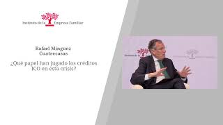 Rafael MinguezPapel de los créditos ICO en esta crisis [upl. by Battista380]