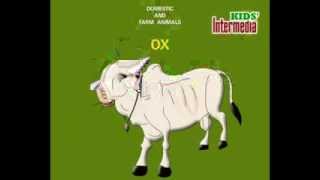 kids Animation Domastic and farm animals and sound syudy for animals name kids [upl. by Anerroc]