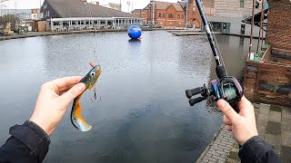 InnerCity Pike Fishing 🇬🇧🐊 [upl. by Aubigny]