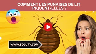 Piqûre de PUNAISES DE LIT  on vous explique Tout [upl. by Hazlip]