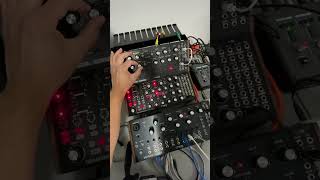 Happy accident with DFAM and Spectravox semimodular dfam spectravox moog synthjam [upl. by Trah]