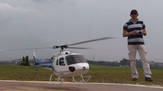 Century AS350 Ecureuil 600 Size Scale Rotor Head [upl. by Aznecniv]