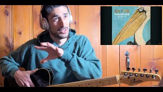 quotPelicans Wequot  Cosmo Sheldrake  Music Teacher Reacts [upl. by Urbannal]