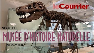 Visiter le Museum dhistoire naturelle de New York [upl. by Yedarb566]