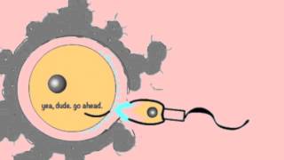 Embryology Fertilisation Video [upl. by Ennayhs]