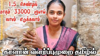 காளான் வளர்ப்பு  Kaalan valarppu in tamil  Mushroom farming start to harvest process JP Tamil Tv [upl. by Atiuqehs]